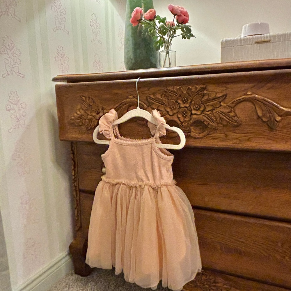 Jamie Kay Blush Tulle Dress